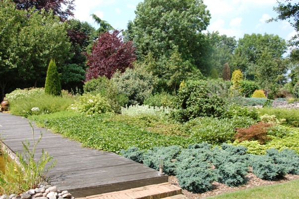 tuin rechts van de vijver 2009-1